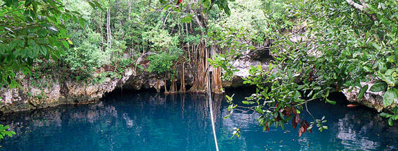 Cenote Verde Lucero .Ruta de los Cenotes en Puerto Morelos