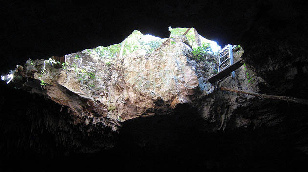 Ruta de los Cenotes